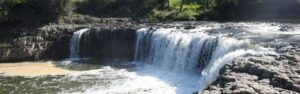 Visit the Haruru Falls