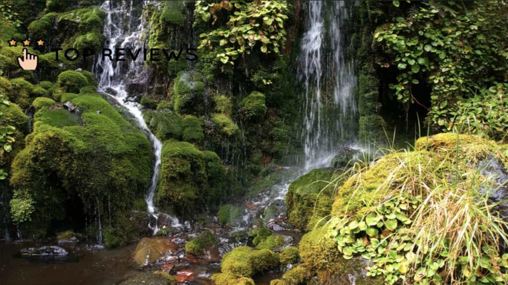 Waitonga Falls