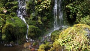 Waitonga Falls