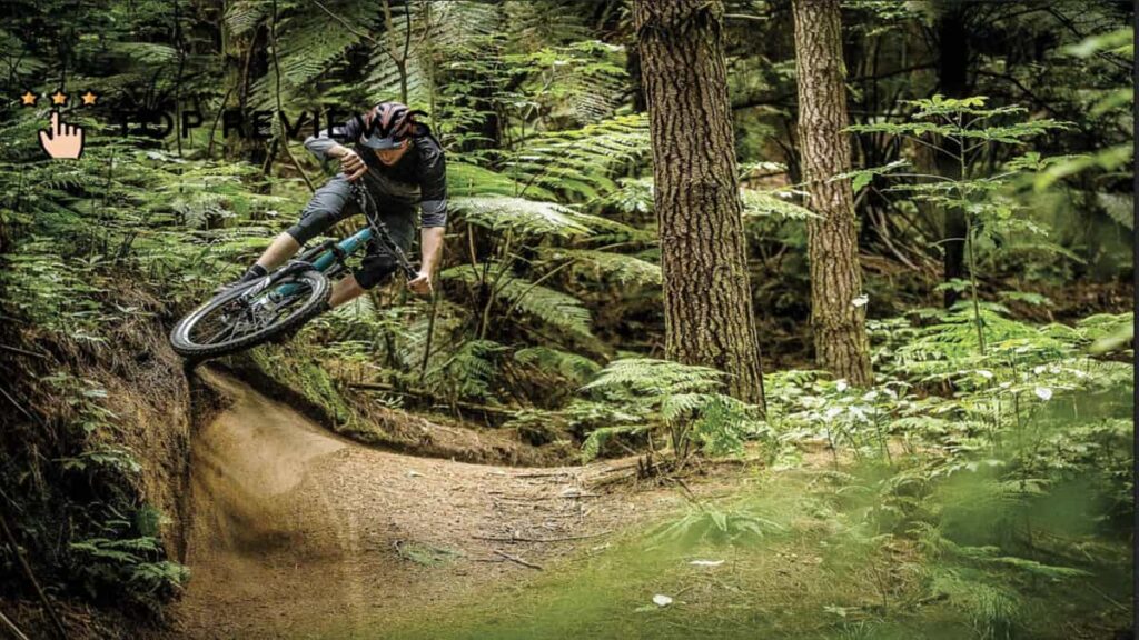 Whakarewarewa Mountain Bike Park