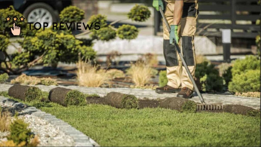 How We Chose the Top Landscape Contractors in New Zealand