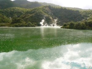 Swim in Wai-O-Tapu’s Green Lake