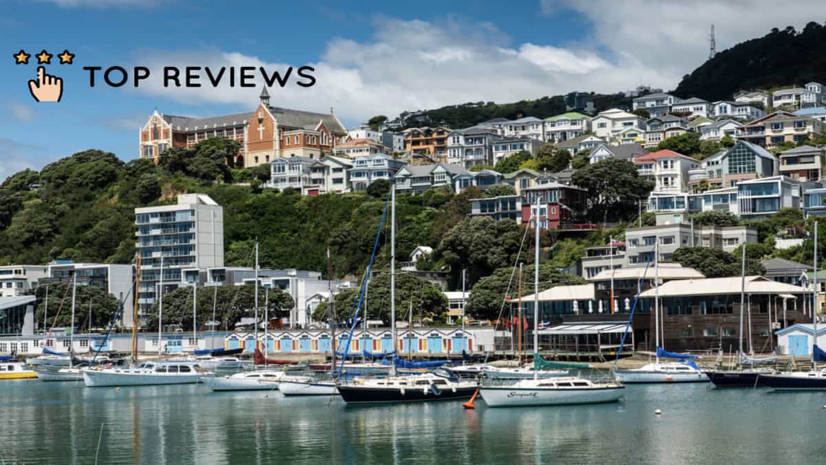The Best Places to Live in Wellington for Asian Families