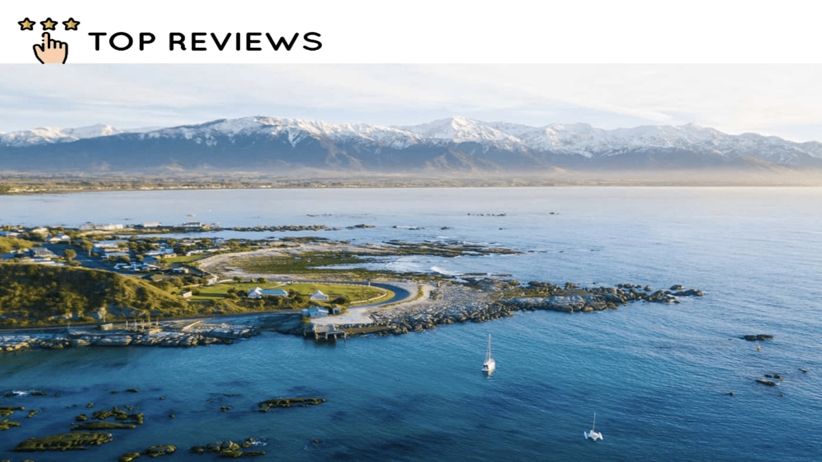 Our Ultimate Kaikoura Travel Guide