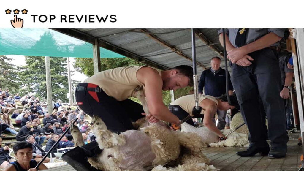 Taihape gains popularity with their annual A & P Show