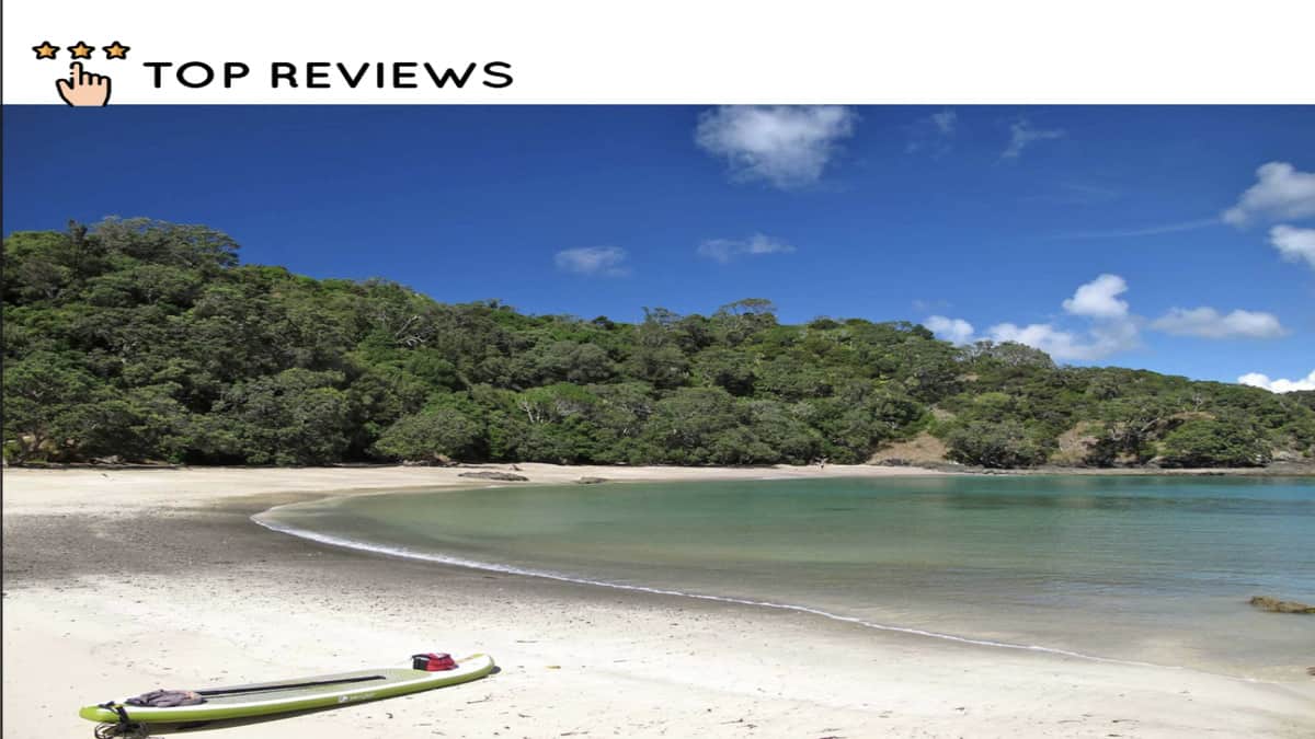 The History of Whale Bay