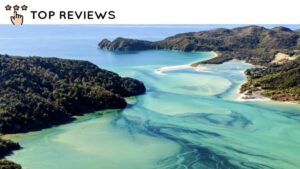 What Makes Abel Tasman National Park Special