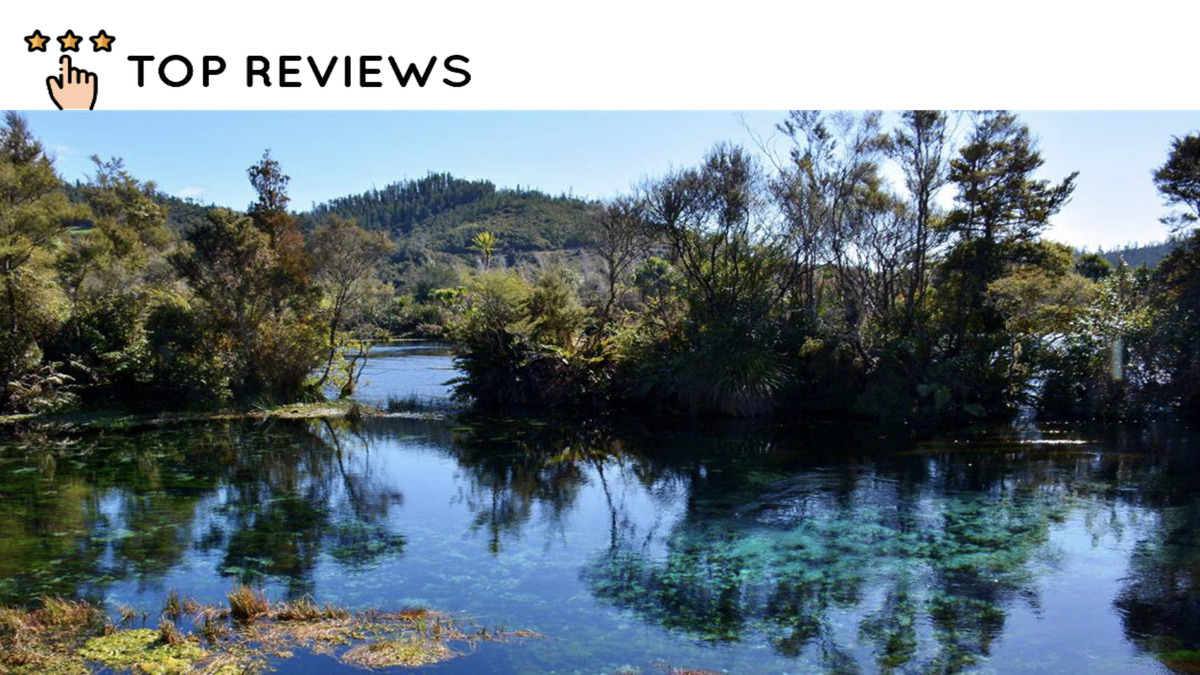 History of Waikoropupu Springs