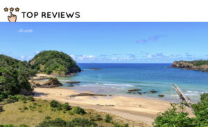 How to get to Whale Bay NZ