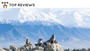 Unveiled What's it like to live in Kaikoura