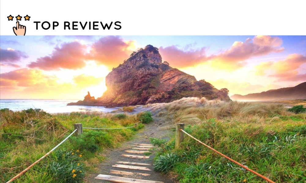 Best Day Trips in Auckland