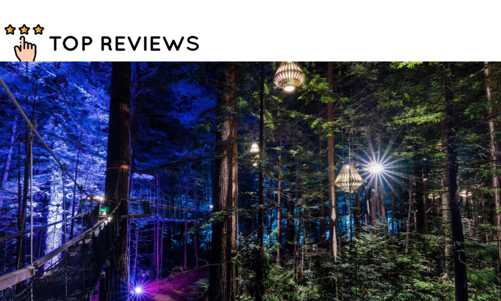 Best Things To Do in Rotorua