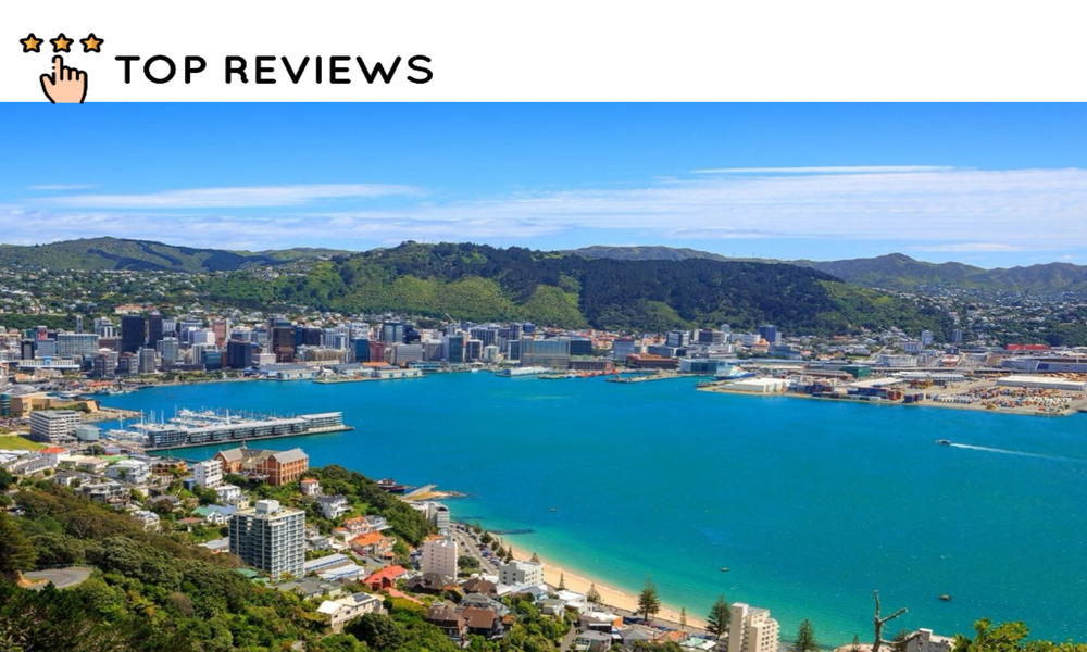 How to Travel from Auckland to Wellington