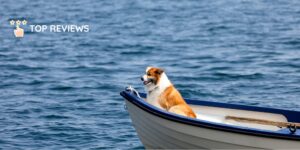 How to take your own boat to Doubtful Sound