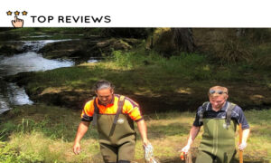 What can be done to lower the Waikare River’s pollution levels