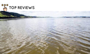 What is the most polluted river in New Zealand