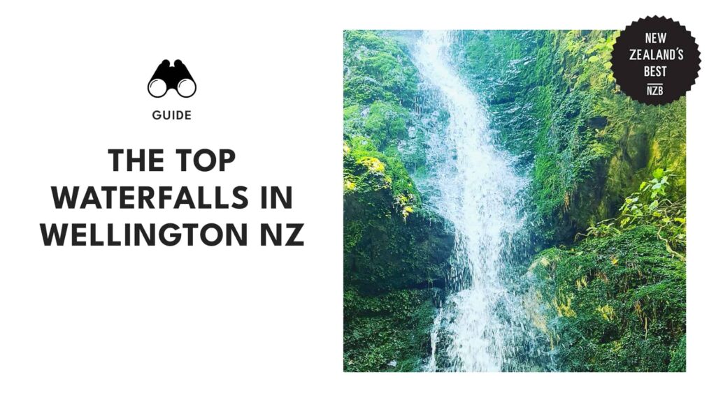 Best Waterfalls in Wellington