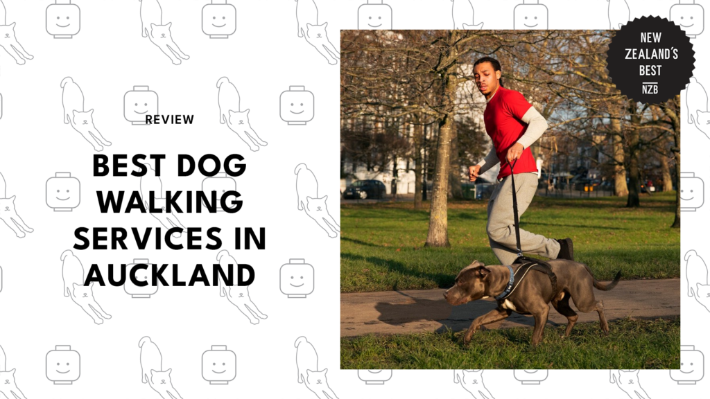 best-dog-walking-services-auckland