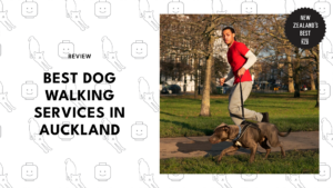 best-dog-walking-services-auckland
