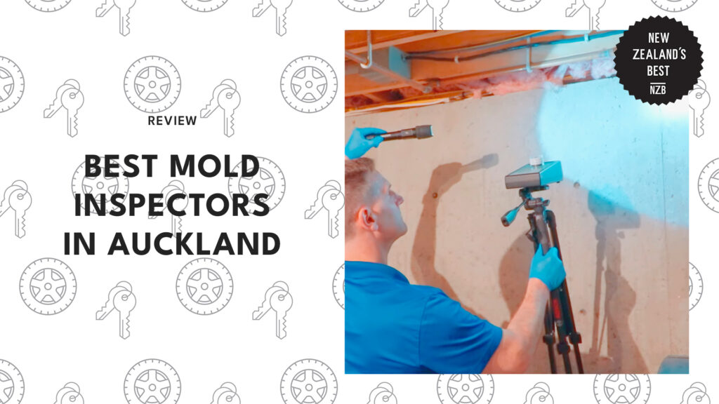 best-mold-inspectors-auckland